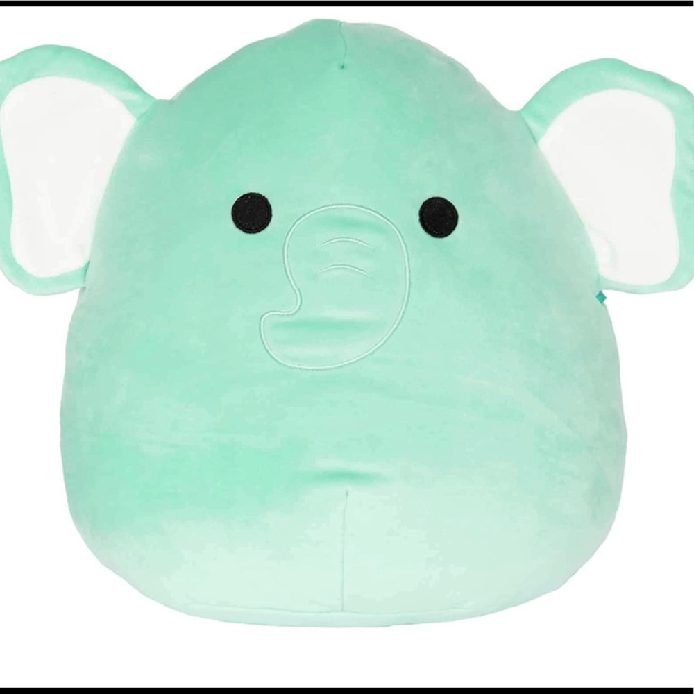 8" Squishmallow Diego NWT